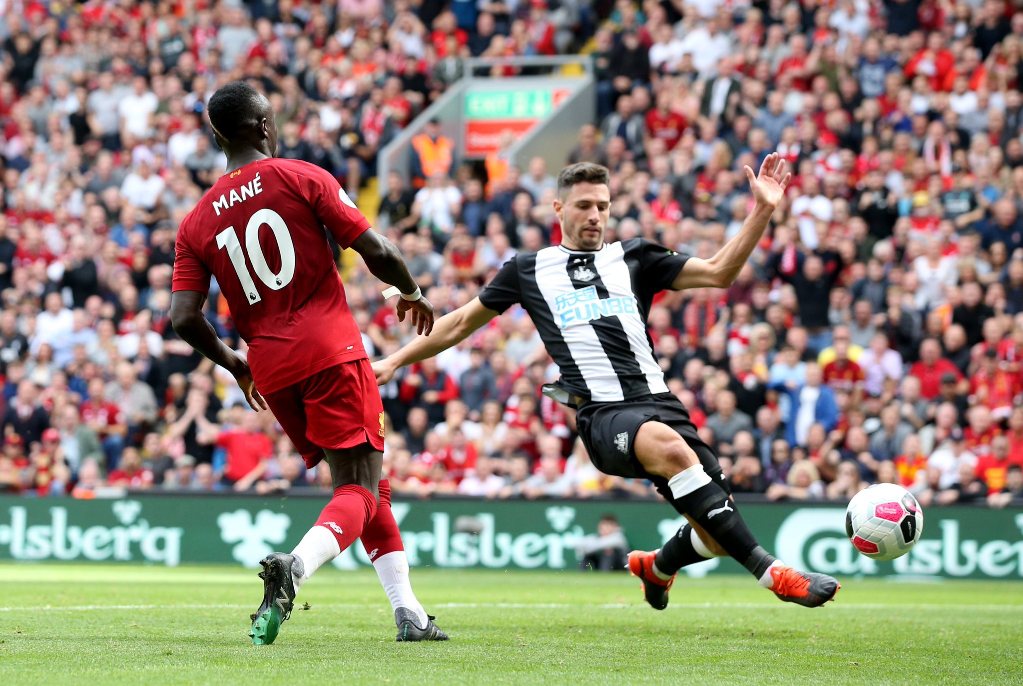 网新生力量 网新生力量